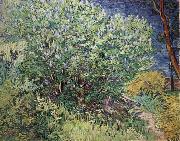 Vincent Van Gogh The Bush Sweden oil painting artist